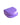Zahnspangendosen (Primavera) – Violett
