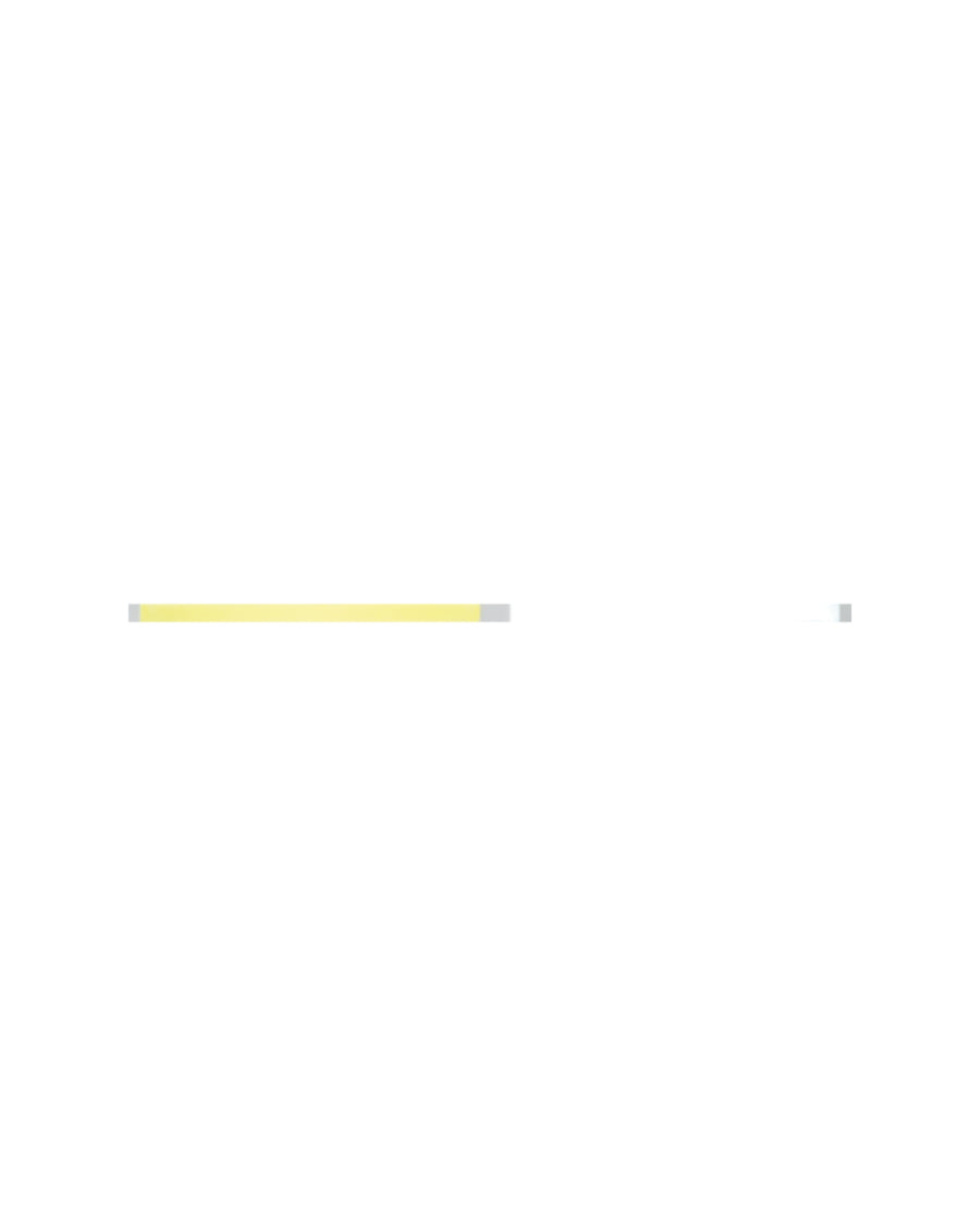 FlexiStrips® – Variante EVE-02
