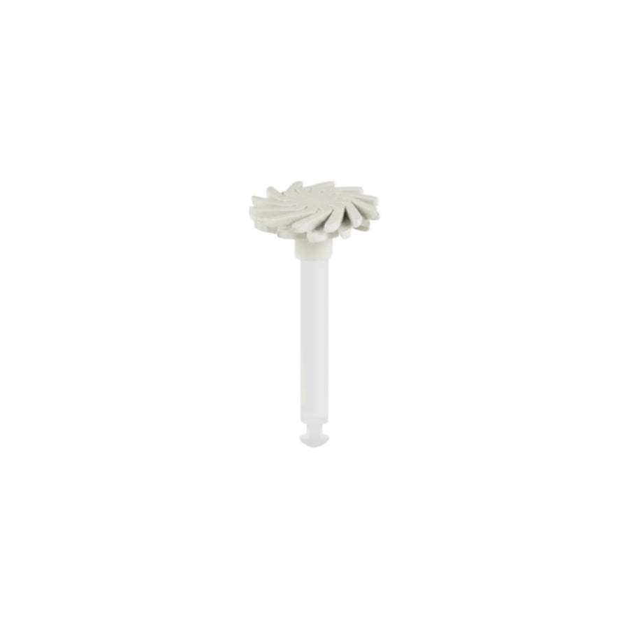 ProphyTwist® – Ansicht 1