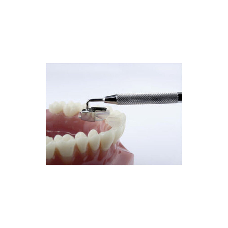 Mini Mold™ – Ansicht 1