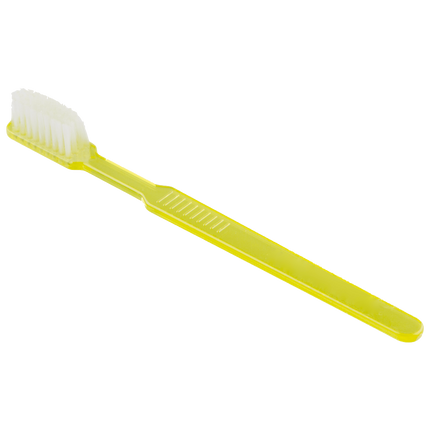 Einmal-Zahnbürsten