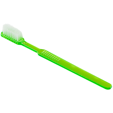 disposable toothbrushes