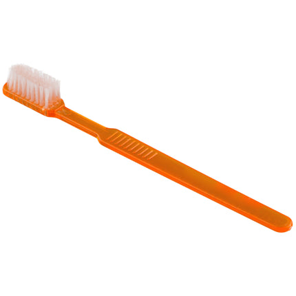 disposable toothbrushes